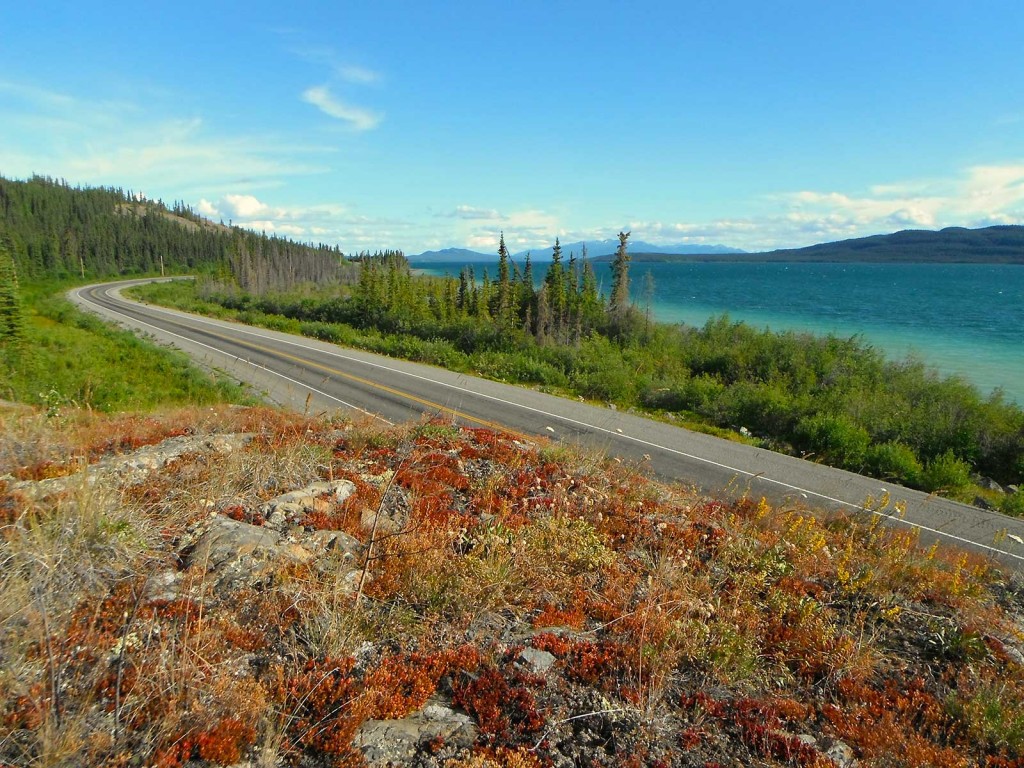 Location & Activities Marsh Lake Yukon Cabins