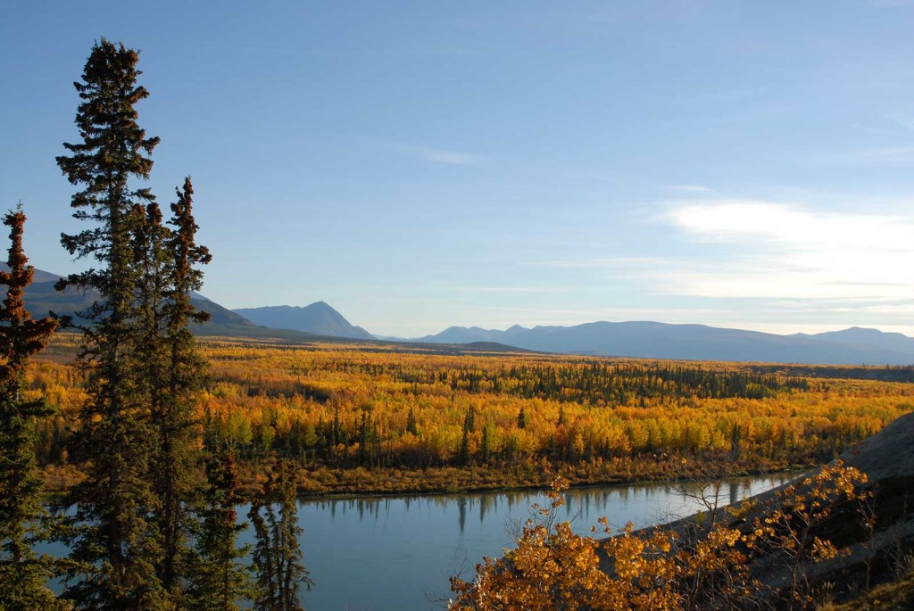 Location & Activities Marsh Lake Yukon Cabins